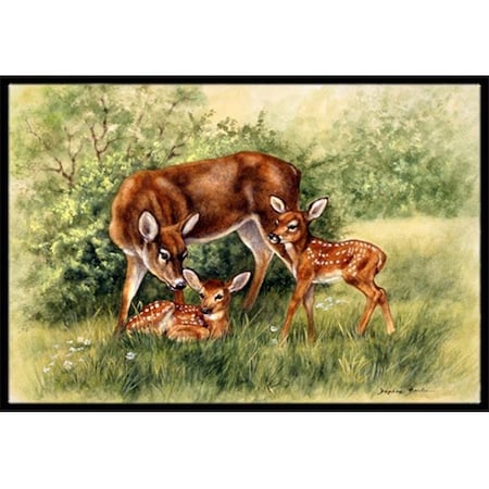 Carolines Treasures Carolines Treasures BDBA0116JMAT Deer by Daphne Baxter Indoor or Outdoor Mat; 24 x 36 BDBA0116JMAT
